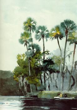 溫斯洛 荷默 Homosassa River 溫斯洛 荷默 Homosassa River